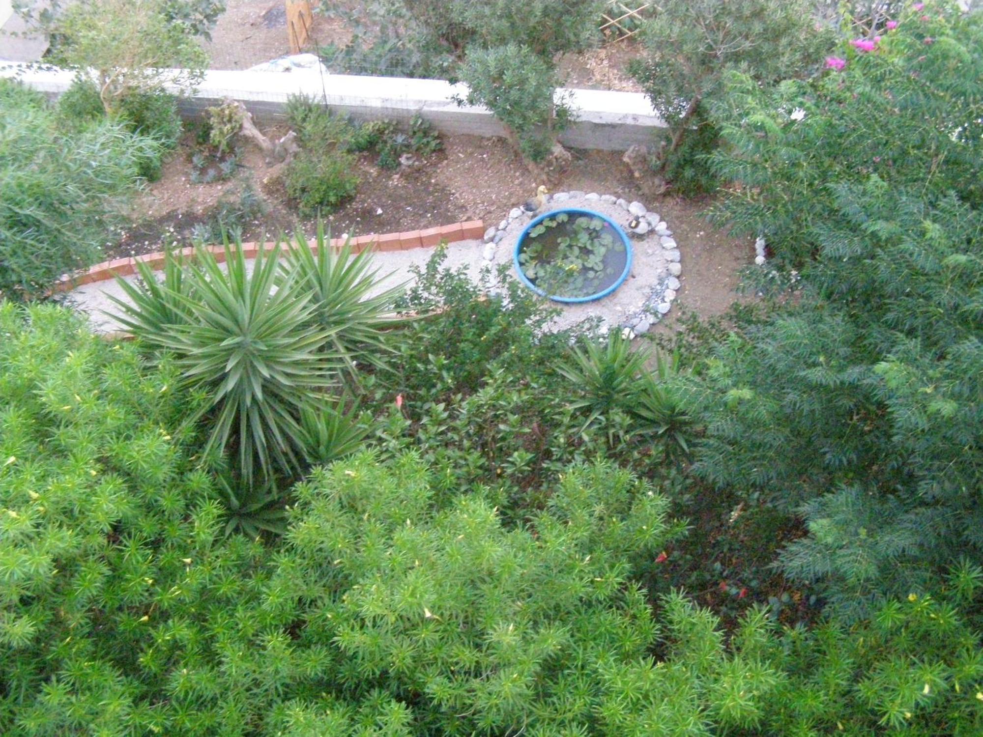 Studios Aeolos Kalymnos Myrties ภายนอก รูปภาพ